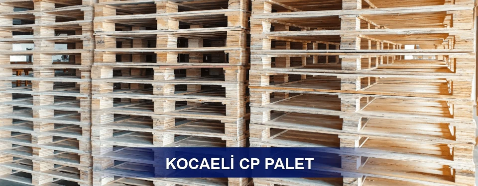 Kocaeli Standart Tipler