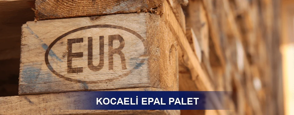 Kocaeli Standart Yapı