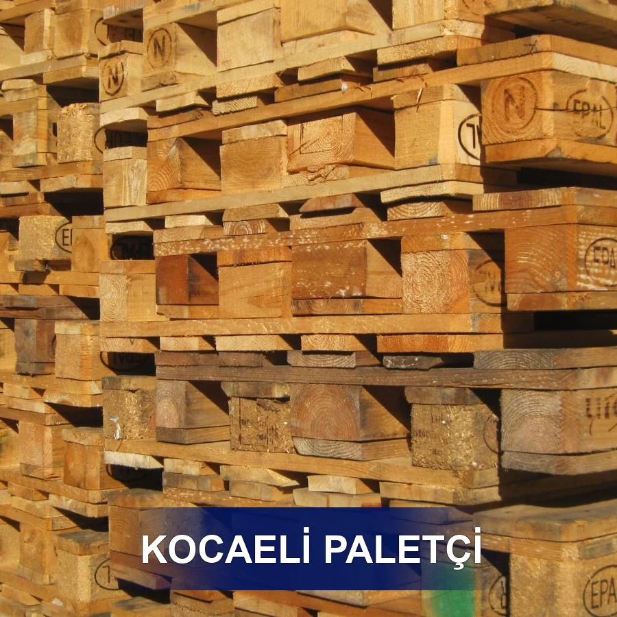 Kocaeli Paletçi