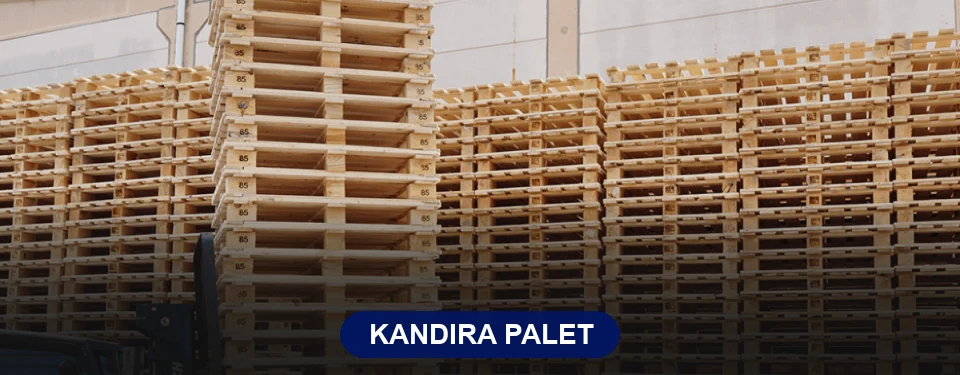 Kandıra Paletçi