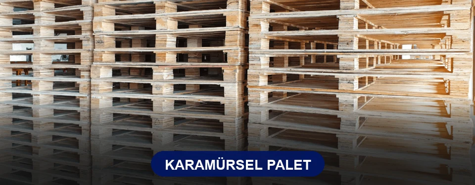 Karamürsel Paletçi