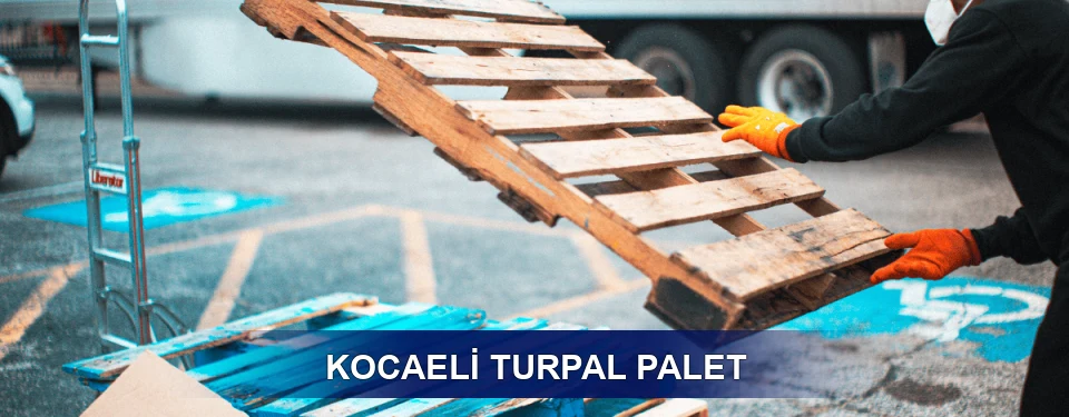 Kocaeli Market Uyumu